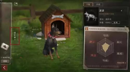 明日之后负重犬怎么升级-明日之后家门犬有什么用