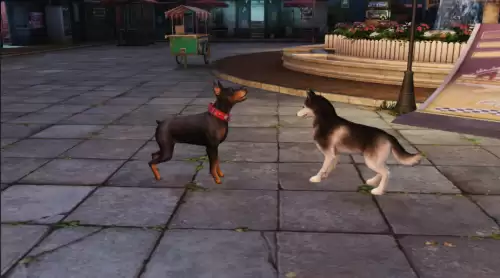 明日之后负重犬怎么升级-明日之后家门犬有什么用