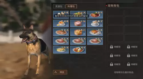 明日之后负重犬怎么升级-明日之后家门犬有什么用