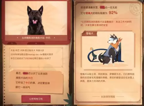 明日之后负重犬怎么升级-明日之后家门犬有什么用