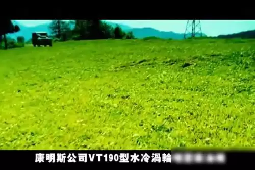 穿越火线电影版完整版-穿越火线电影免费观看