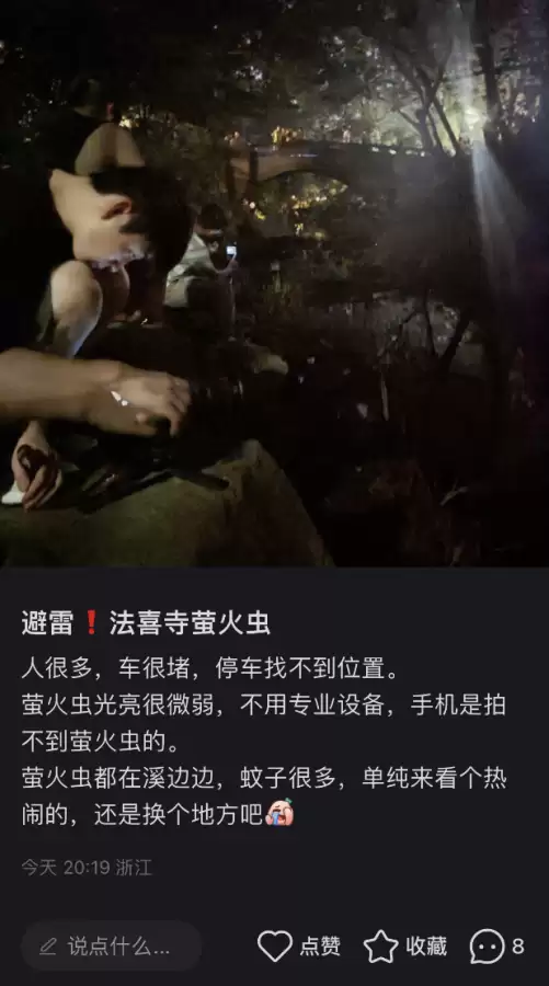 光遇荧光森林景点-光遇荧光森林在哪的攻略