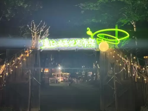 光遇荧光森林景点-光遇荧光森林在哪的攻略