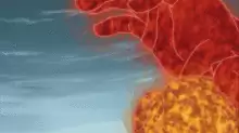 火影网名鼬神-适合宇智波鼬的网名