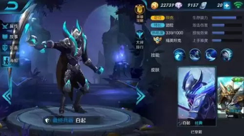 王者荣耀最冷门的英雄
