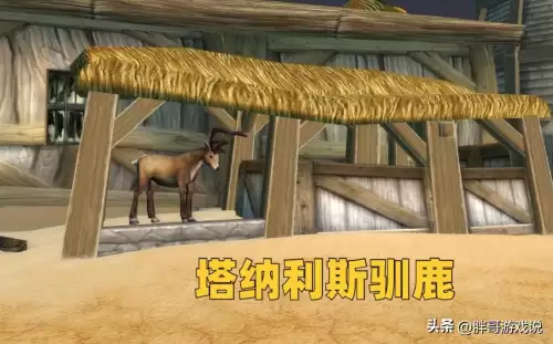 魔兽世界冬幕节坐骑怎么获得-魔兽世界任务坐骑大全与获得方式