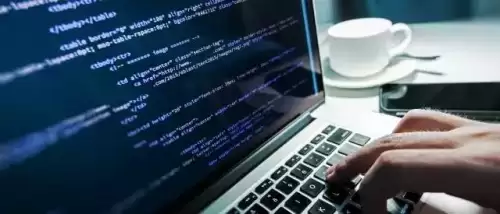 cs是什么职位-大学cs 是啥专业