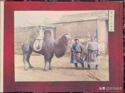 原神华清宫密藏原怎么打-原神的华清归藏秘境如何打开