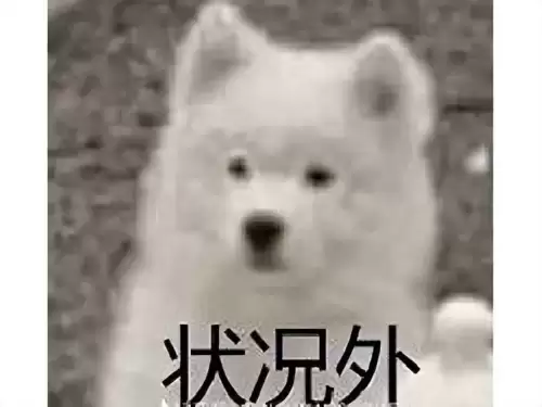 dnf手游出了没有-DNF手游什么时候开始