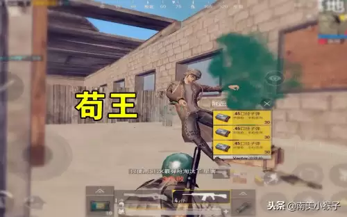 吃鸡是几个人组队-吃鸡是开队伍还是组队麦