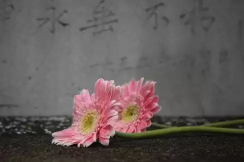 造梦西游3八仙过海法宝-造梦西游3八仙过海物品爆率