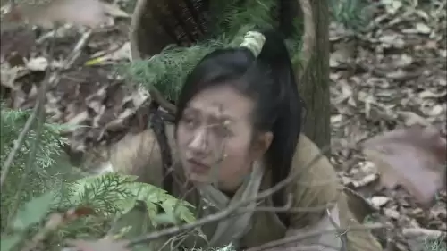 镖行天下前传系列十部-镖行天下前传之顺序