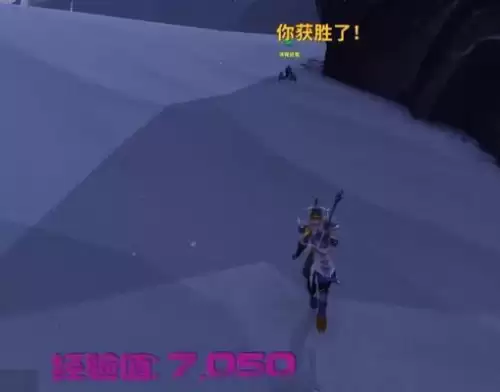 魔兽世界小宠物挂机升级-wow宠物怎么升级最快