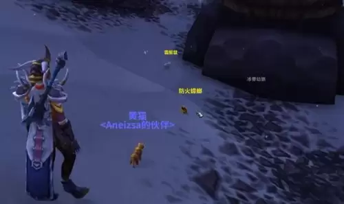 魔兽世界小宠物挂机升级-wow宠物怎么升级最快
