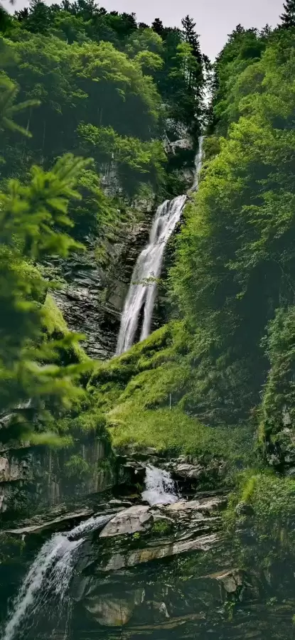 迷你世界如何合成闪金野果-迷你世界莓果怎么获得