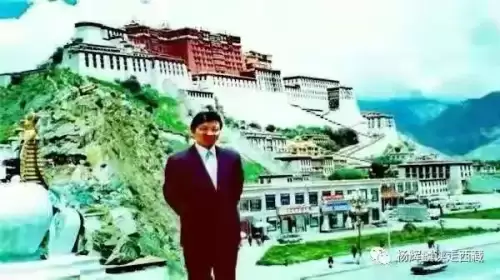 迷你世界如何合成闪金野果-迷你世界莓果怎么获得