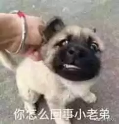 cf源ak47黑武士怎么万化-穿越火线枪战王者的源ak黑骑士