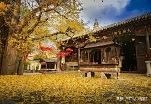 玄武豪侠传-侠客道单机破解