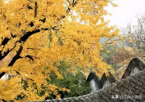 玄武豪侠传-侠客道单机破解