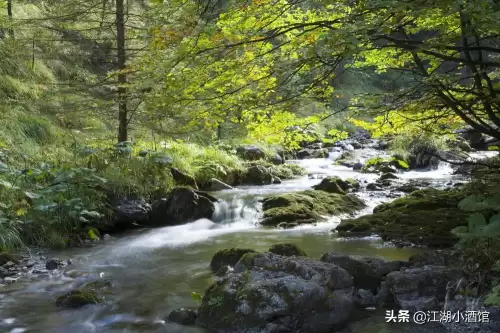 玄武豪侠传-侠客道单机破解
