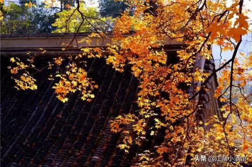 玄武豪侠传-侠客道单机破解