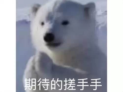魔兽世界创造与毁灭的力量-魔兽世界破碎的联盟