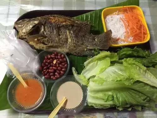 西双版纳攻略自助游攻略-西双版纳好玩的地方