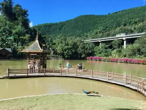 西双版纳攻略自助游攻略-西双版纳好玩的地方