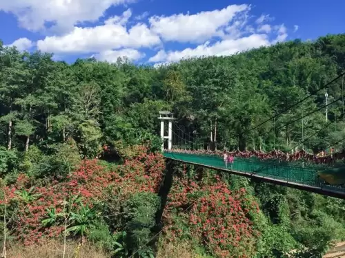 西双版纳攻略自助游攻略-西双版纳好玩的地方