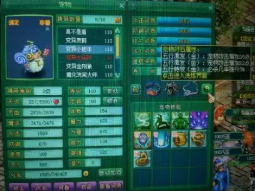 神武珍兽好还是神兽好-神武4珍兽哪个最实用