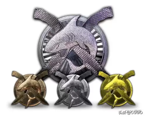 csgo大行动星星怎么得-csgo裂网大行动星星