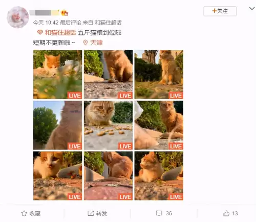 遇见你的猫微博超话-遇见你的猫下载