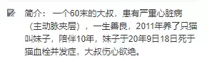 遇见你的猫微博超话-遇见你的猫下载