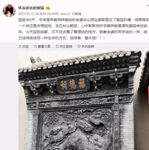 遇见你的猫微博超话-遇见你的猫下载