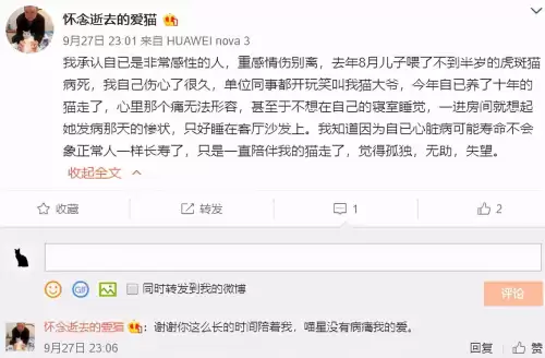 遇见你的猫微博超话-遇见你的猫下载