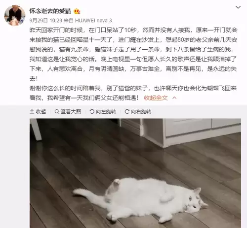 遇见你的猫微博超话-遇见你的猫下载