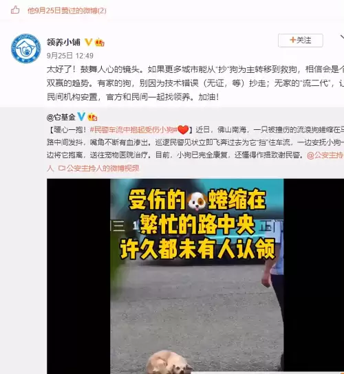 遇见你的猫微博超话-遇见你的猫下载
