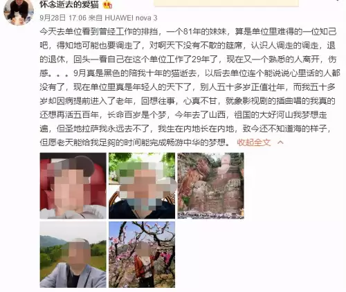 遇见你的猫微博超话-遇见你的猫下载