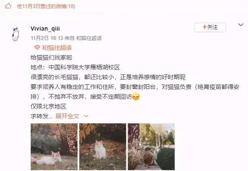 遇见你的猫微博超话-遇见你的猫下载