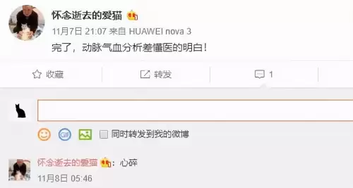 遇见你的猫微博超话-遇见你的猫下载
