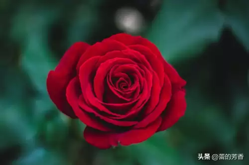 第五人格挽留时间是多少怎么看结束了没有-第五人格多久不上线有回流活动