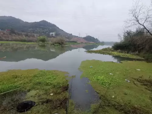 明日之后哪里钓鱼经验最多-明日之后哪里钓鱼熟练度最快的地方