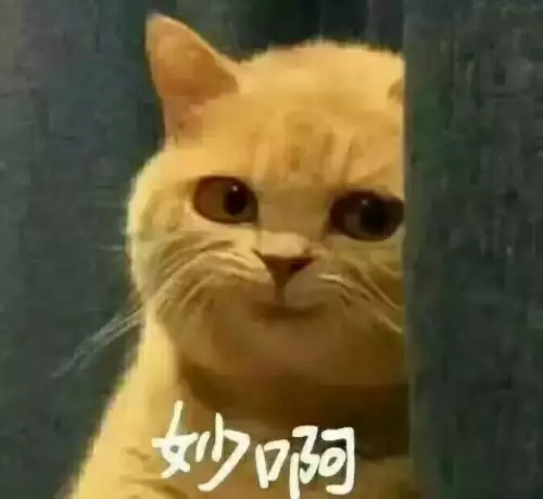 机战w关卡-机战w推荐机体