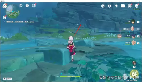 原神供奉栖木3-原神找到供奉栖木如何完成