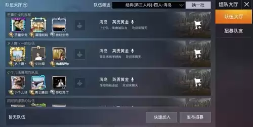 和平精英组队筛选在哪里-和平精英如何匹配到同一战场