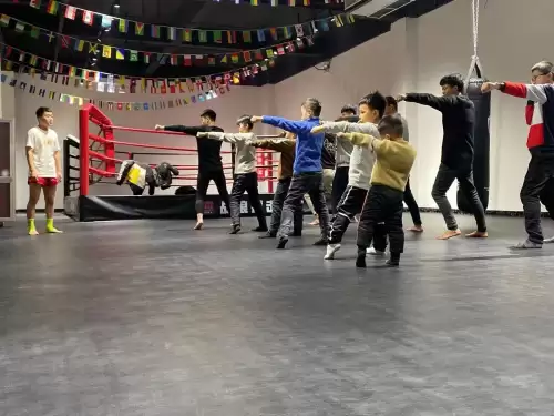 三国群英传2ol战狼-三国群英传2网络版凤凰游戏