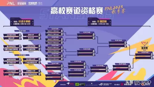 csgo比赛数据-cs选手数据查询