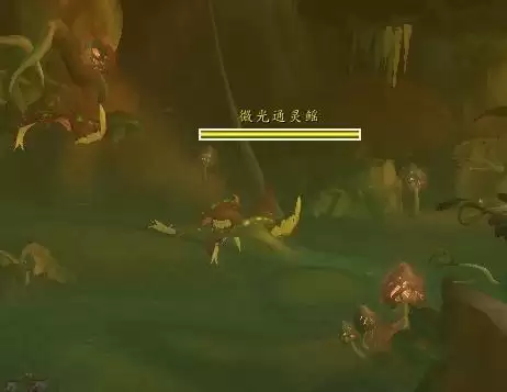 魔兽奈莉莎无心多久刷新-魔兽世界怎么去月光林地