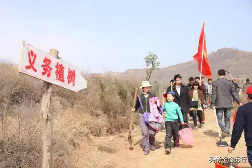 迷你世界怎么种树2022-迷你世界里怎么种树苗
