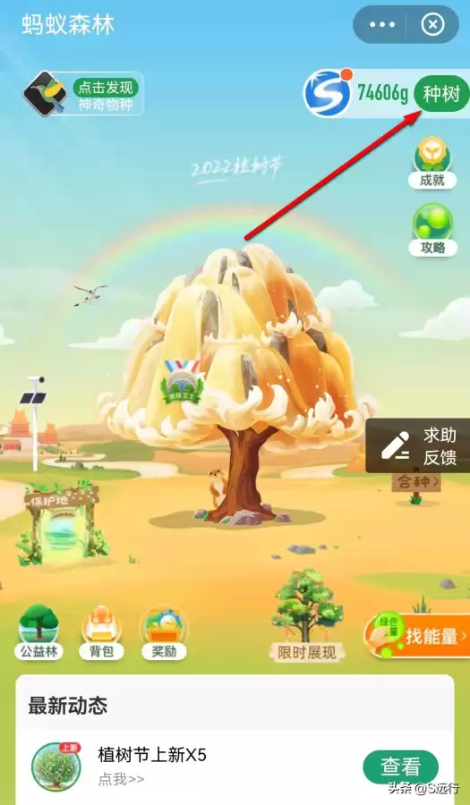 迷你世界怎么种树2022-迷你世界里怎么种树苗